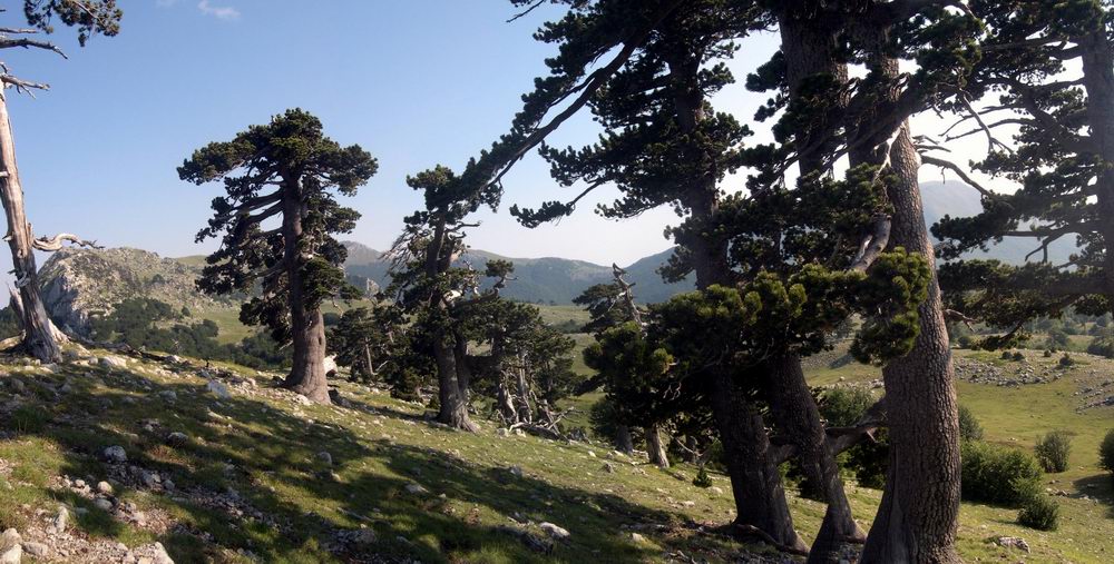 Panoramiche dal Pollino